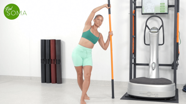 Stick - OH Cross Leg Step