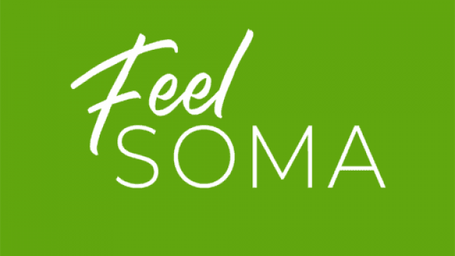 cropped-Feel-SOMA-Site-Identity-Logo-2.png